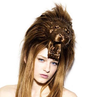 coiffure tete de lion en cheveux